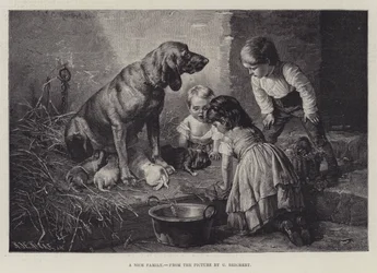 A Nice Family